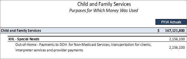 DCFS Special Needs Detailed Purposes